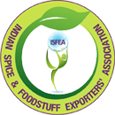 logo-image